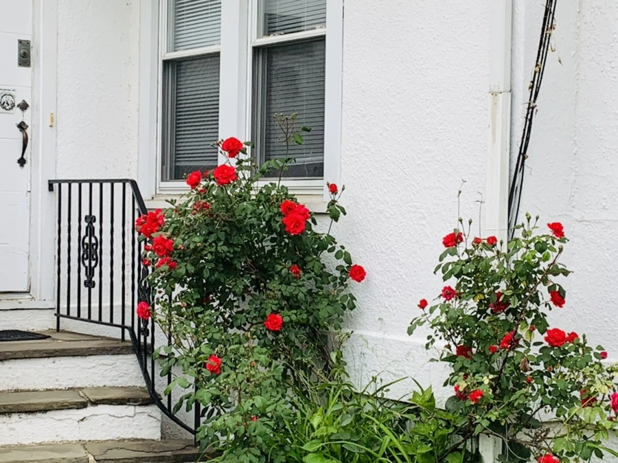 IMG_4847.jpg?type=w966