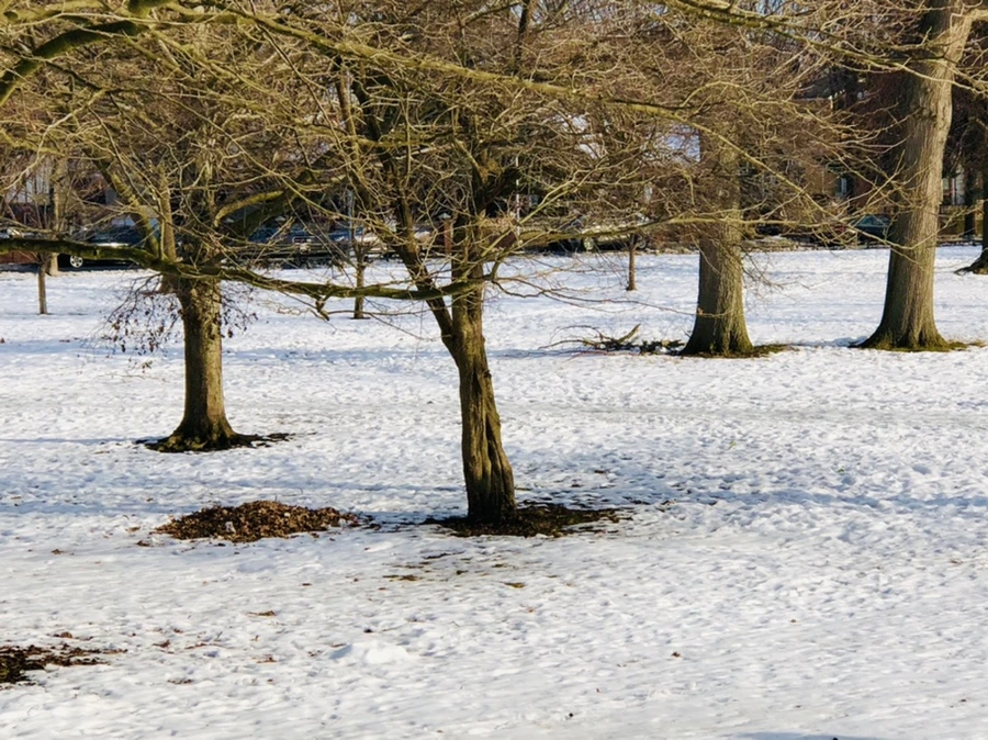 IMG_7749.jpg?type=w966