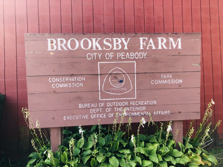 IMG_0704.jpg?type=w966