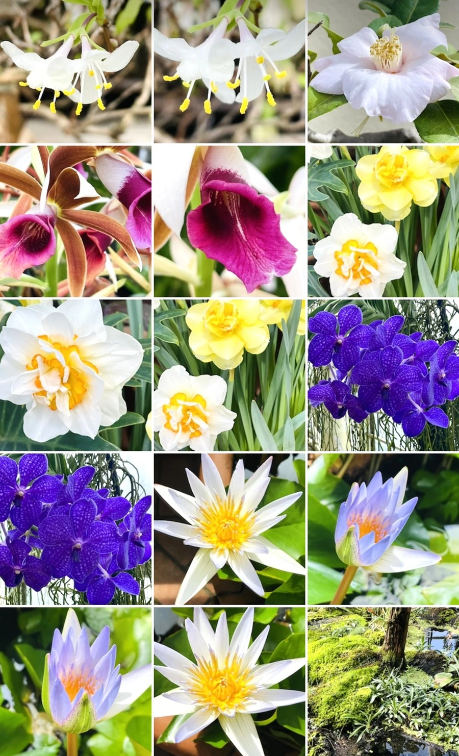 IMG_4259.jpg?type=w966