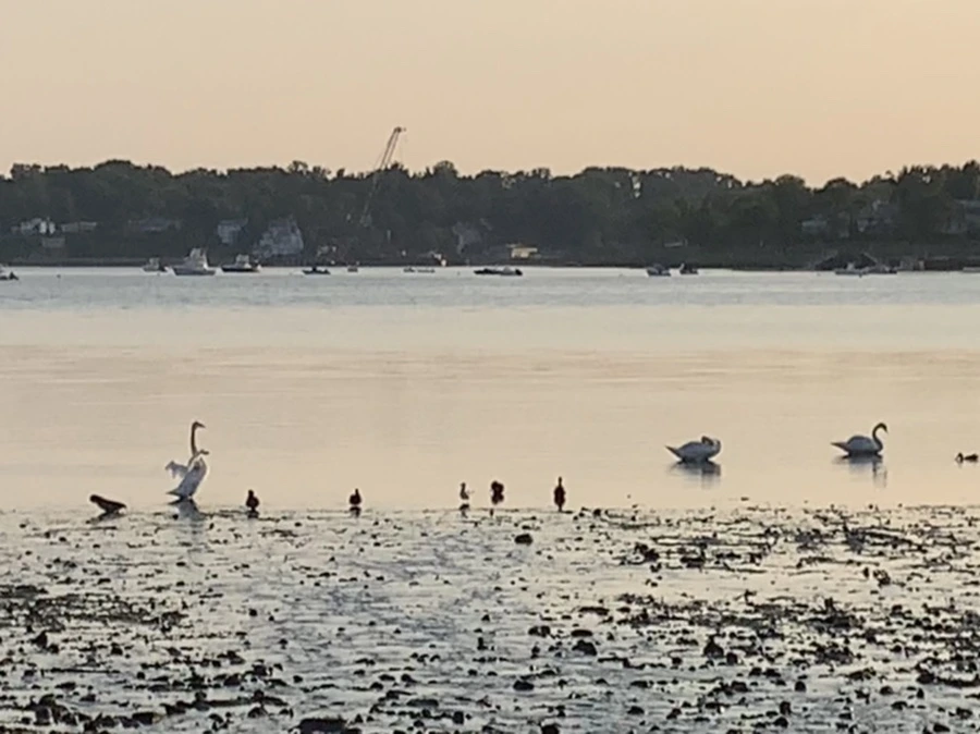 IMG_9763.jpg?type=w966