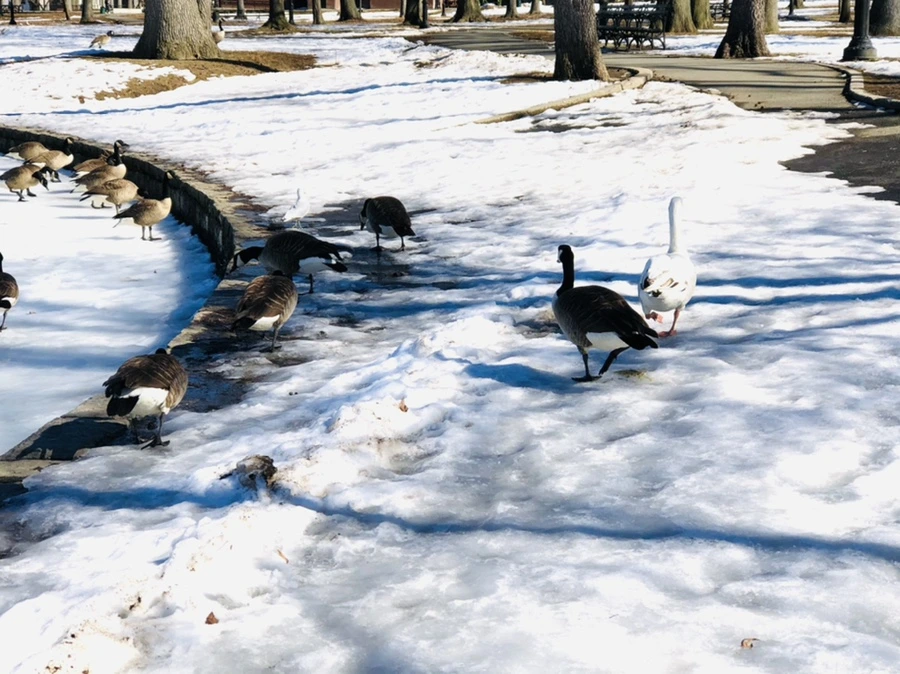 IMG_4930.jpg?type=w966