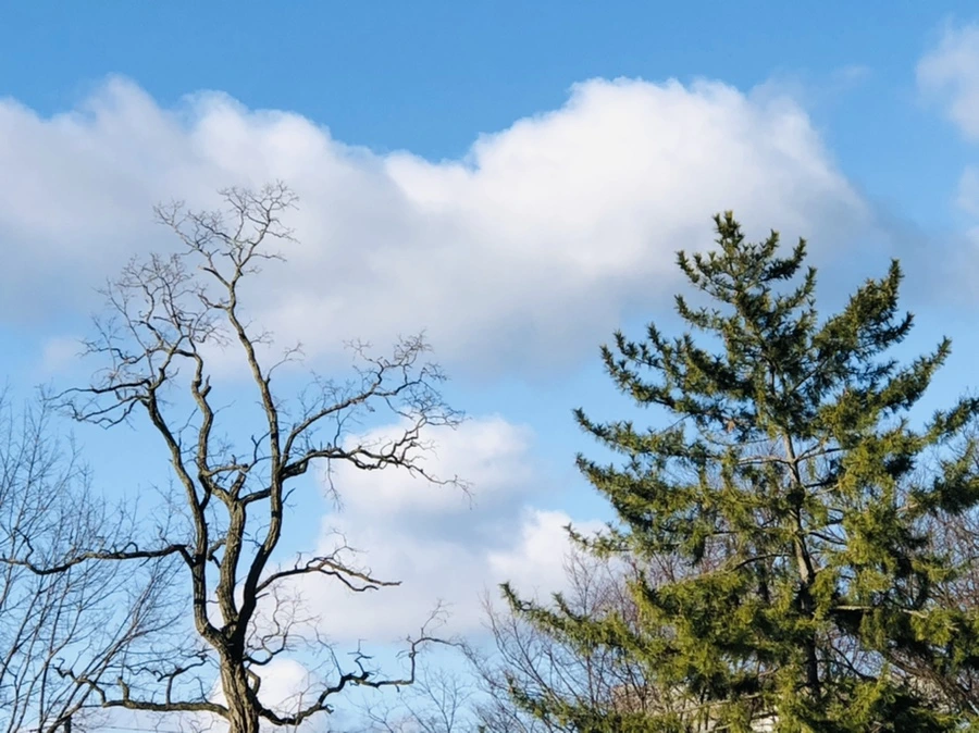 IMG_4053.jpg?type=w966