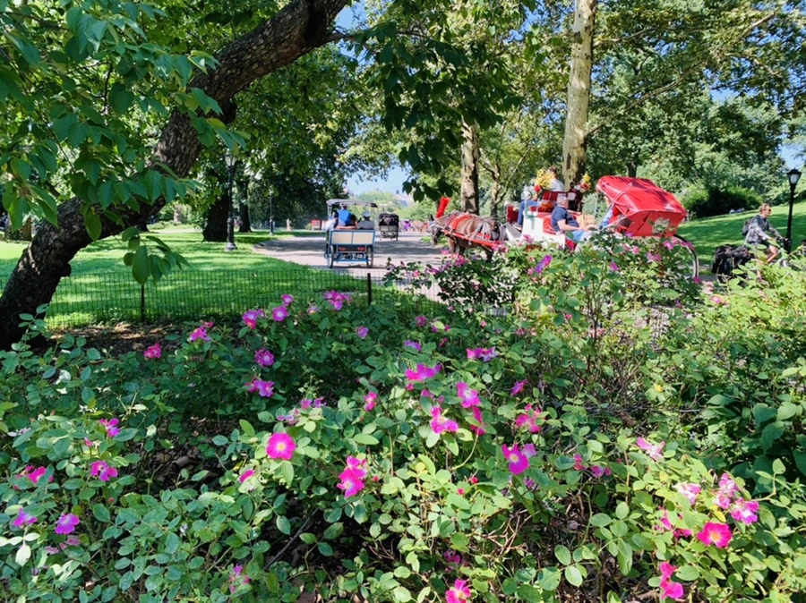 IMG_4430.jpg?type=w966