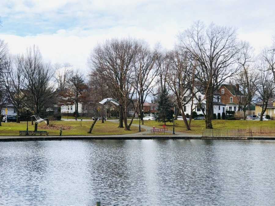 IMG_9898.jpg?type=w966