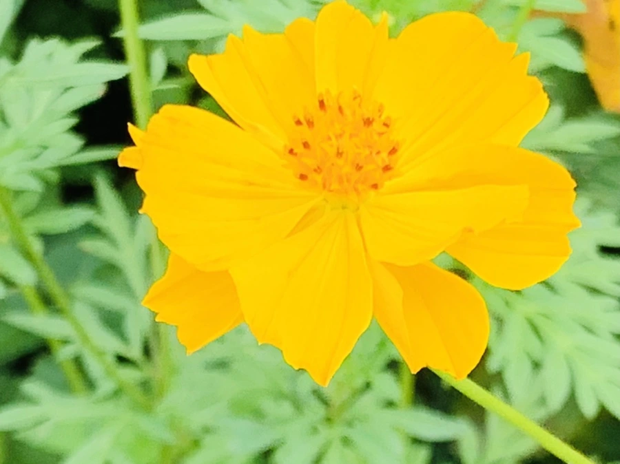 IMG_9460.jpg?type=w966