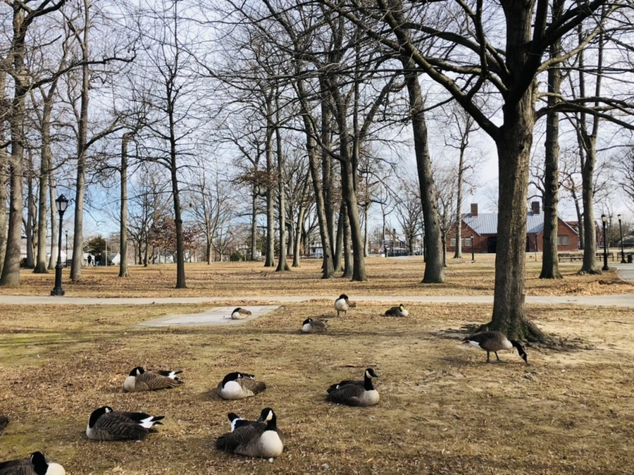 IMG_5785.jpg?type=w966