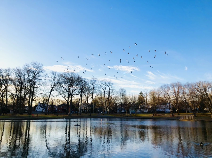 IMG_0891.jpg?type=w966