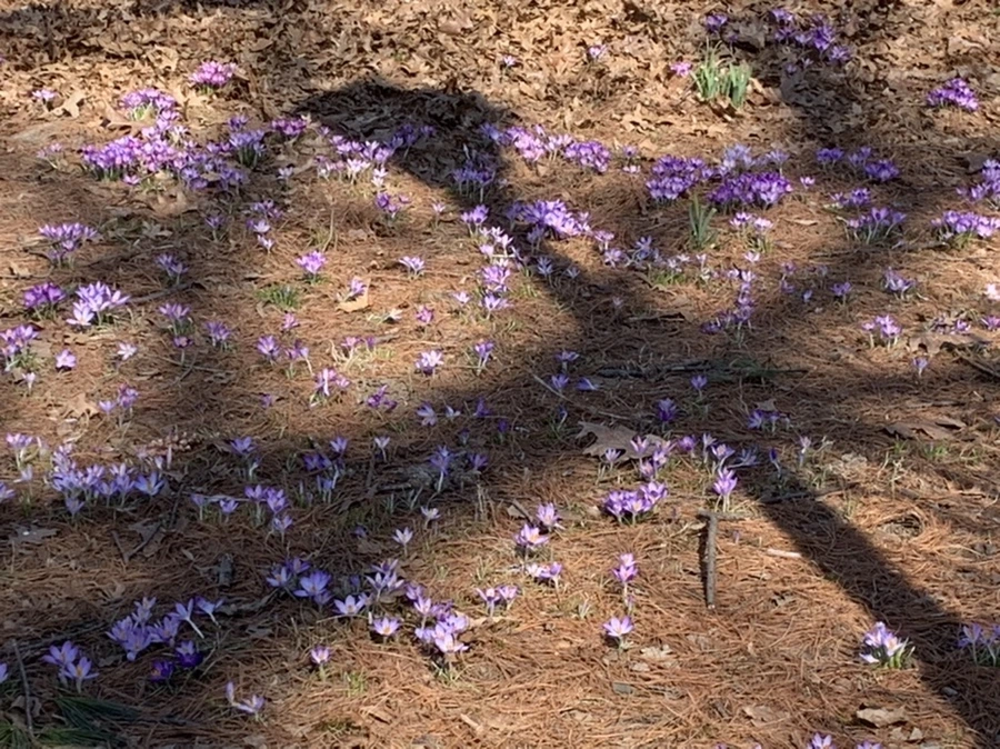 IMG_9727.jpg?type=w966