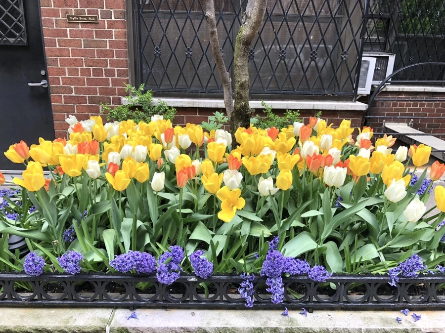 IMG_3255.jpg?type=w966