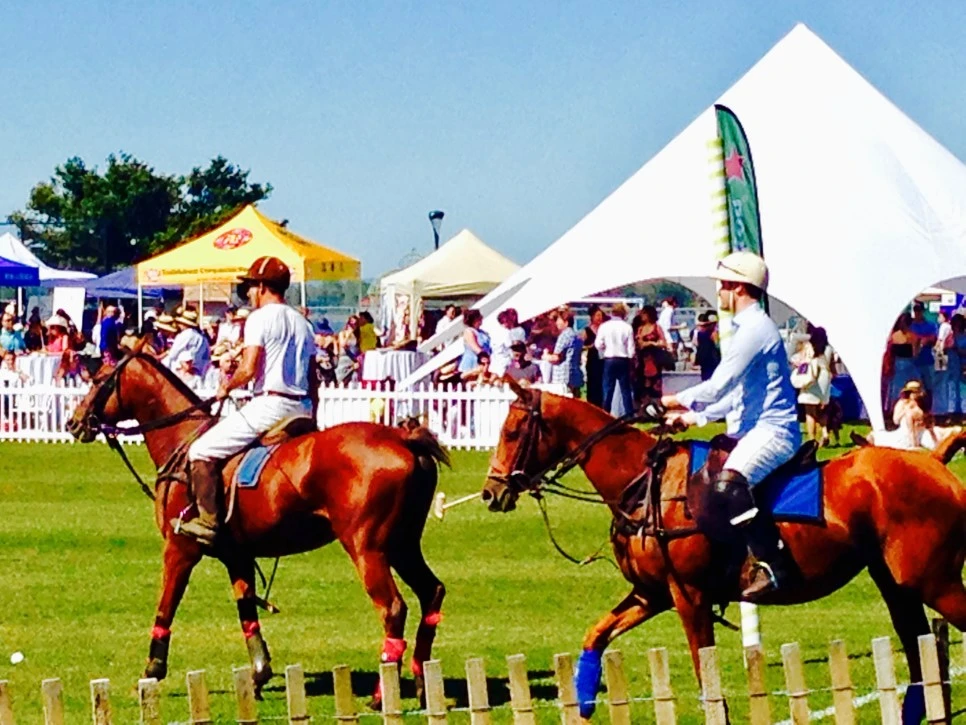 IMG_2280.jpg?type=w966