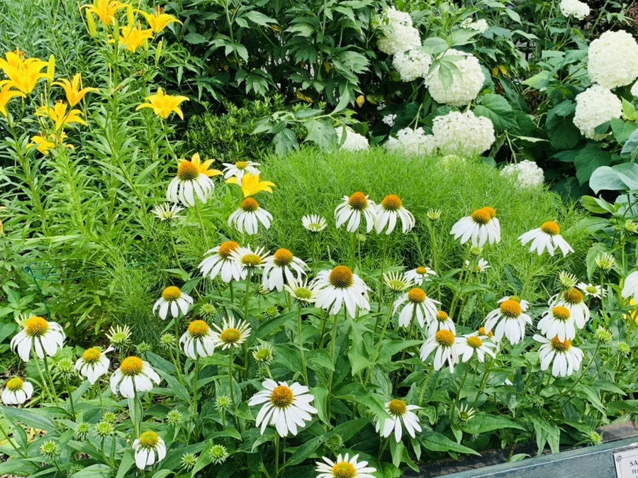 IMG_9903.jpg?type=w966