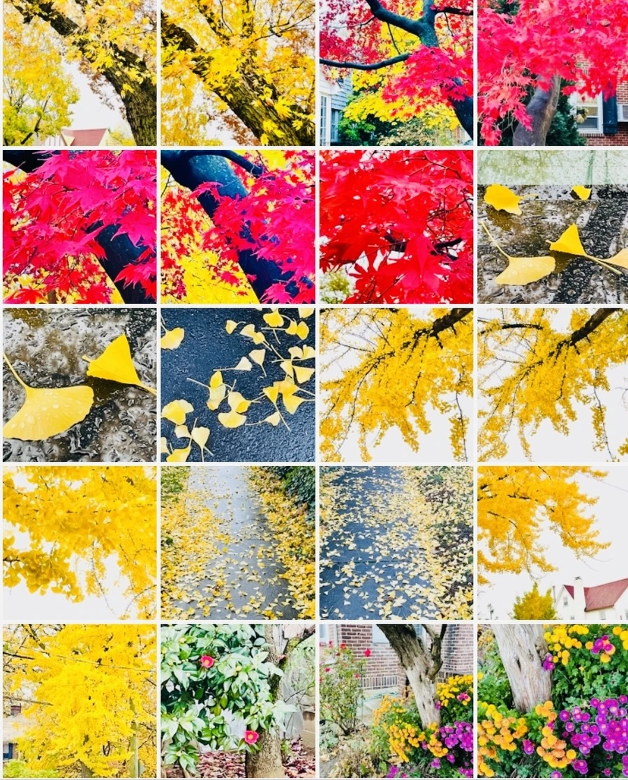 IMG_4957.jpg?type=w966