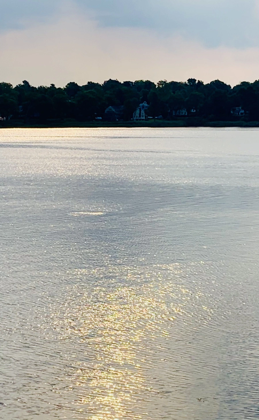 IMG_1581.jpg?type=w966