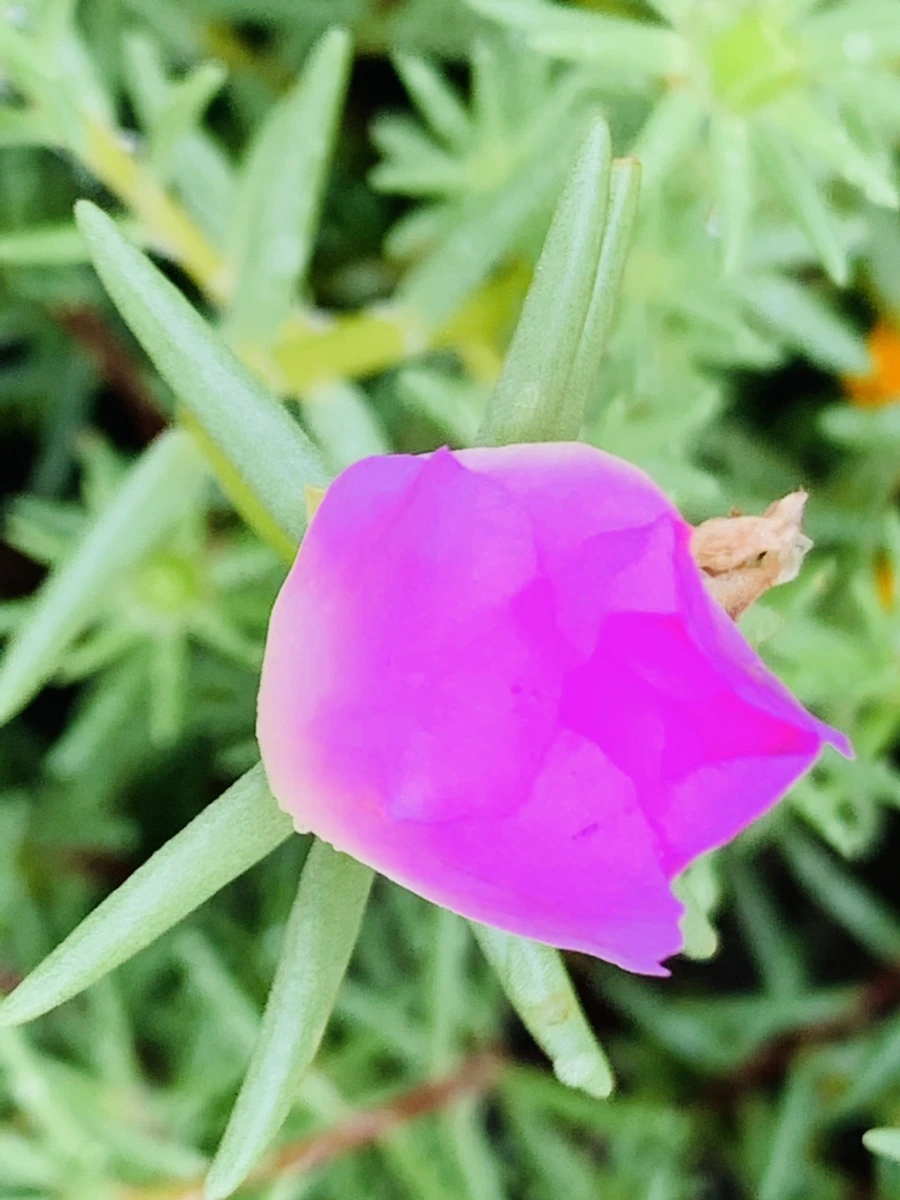 IMG_4948.jpg?type=w966