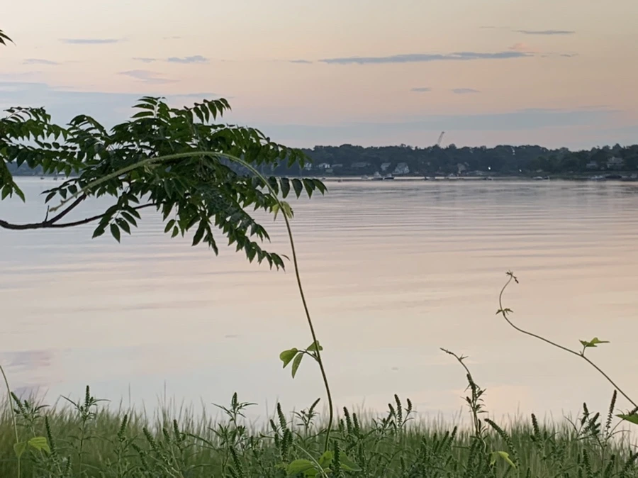 IMG_1178.jpg?type=w966