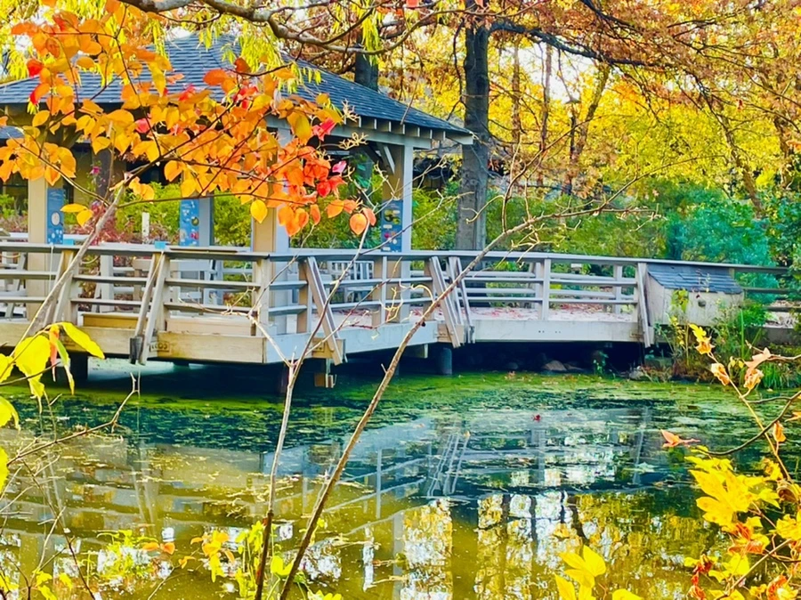 IMG_1819.jpg?type=w966