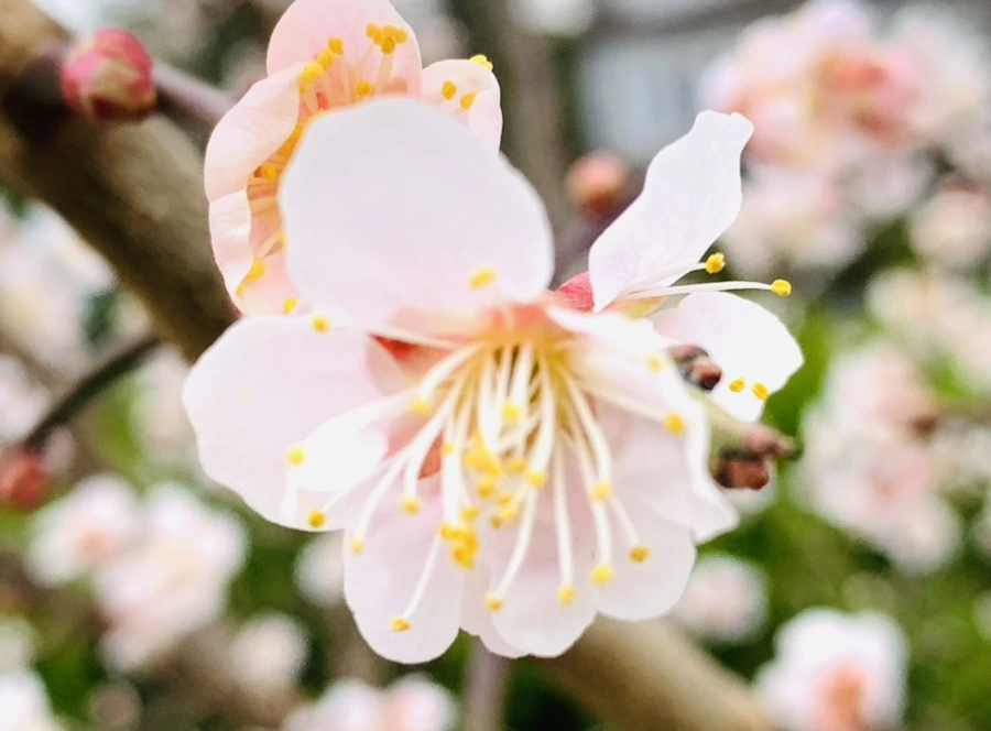 IMG_1684.jpg?type=w966