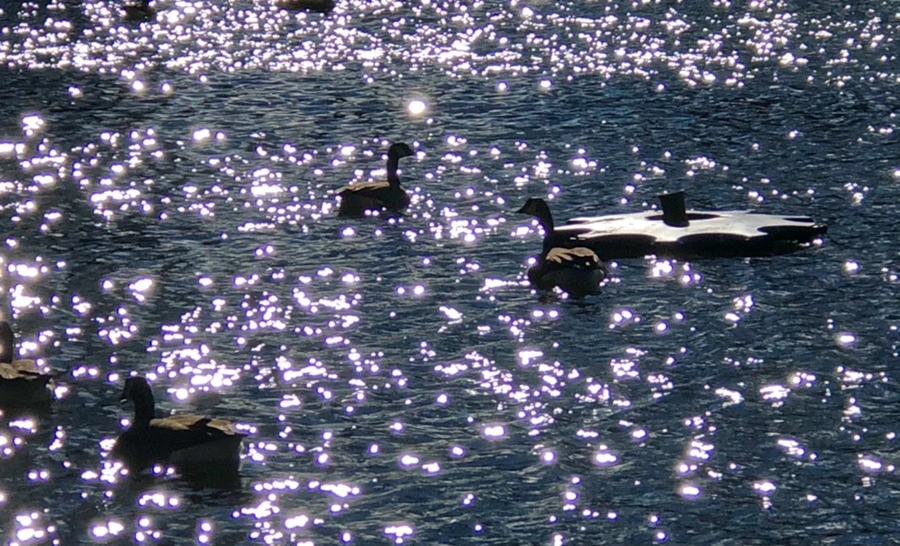 IMG_9192.jpg?type=w966