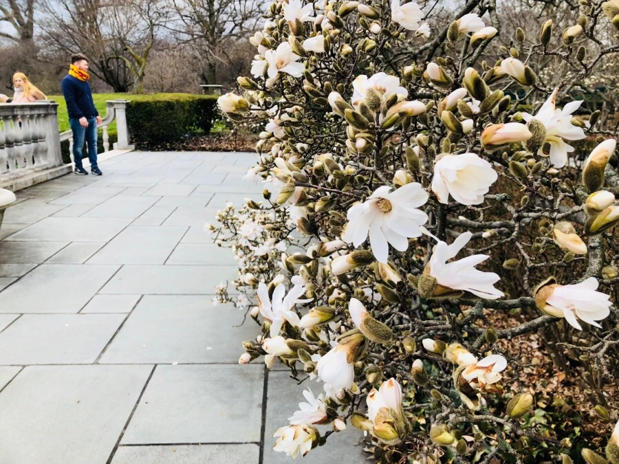 IMG_3831.jpg?type=w966