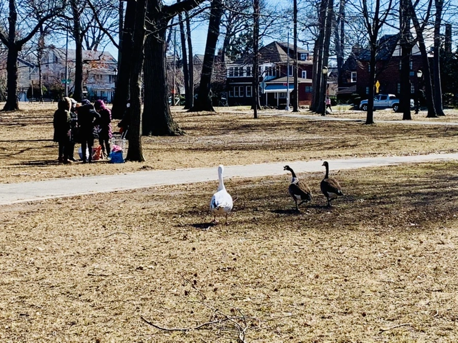 IMG_7536.jpg?type=w966