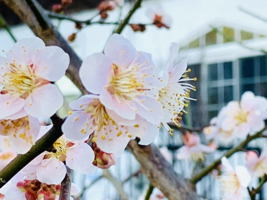 IMG_0883.jpg?type=w966