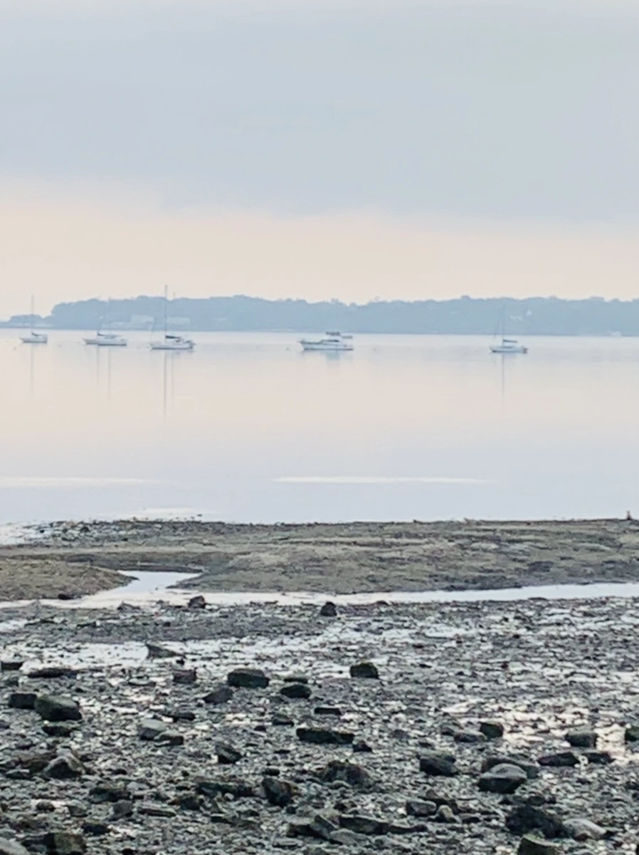 IMG_8221.jpg?type=w966