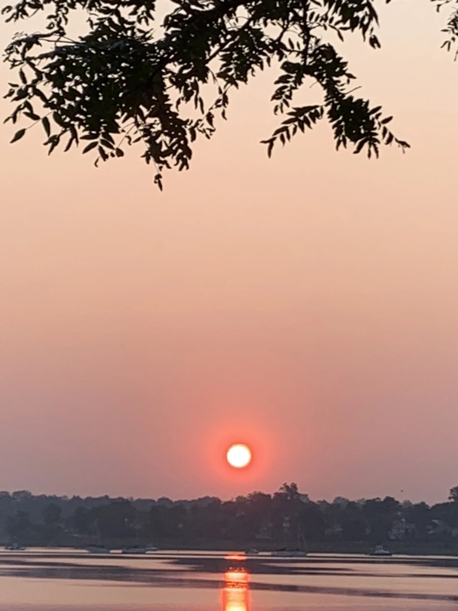 IMG_1960.jpg?type=w966