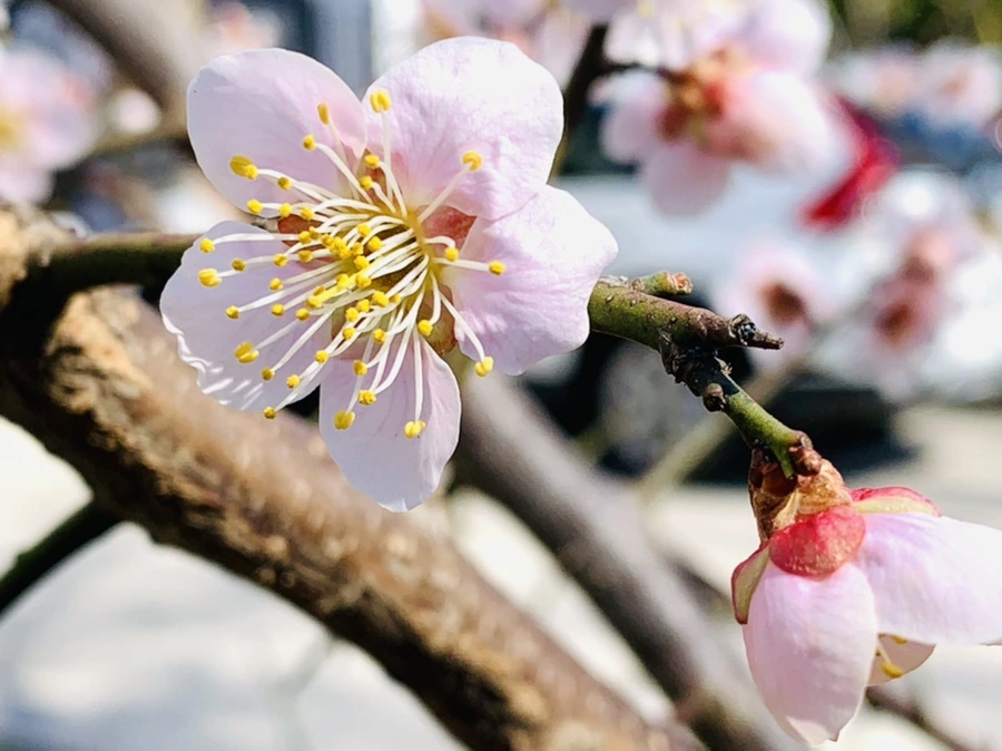 IMG_0985.jpg?type=w966