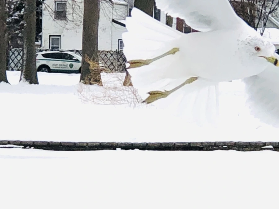 IMG_3780.jpg?type=w966