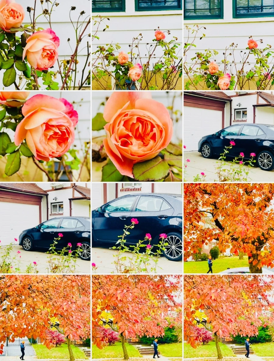 IMG_4559.jpg?type=w966