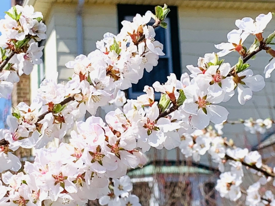 IMG_7648.jpg?type=w966