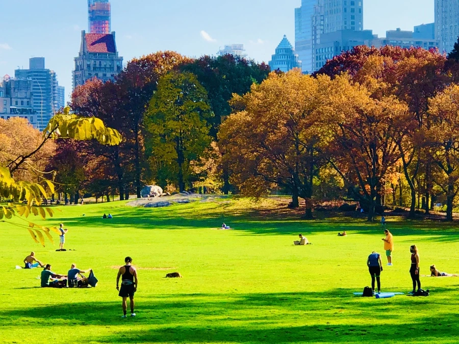 IMG_4361.jpg?type=w966