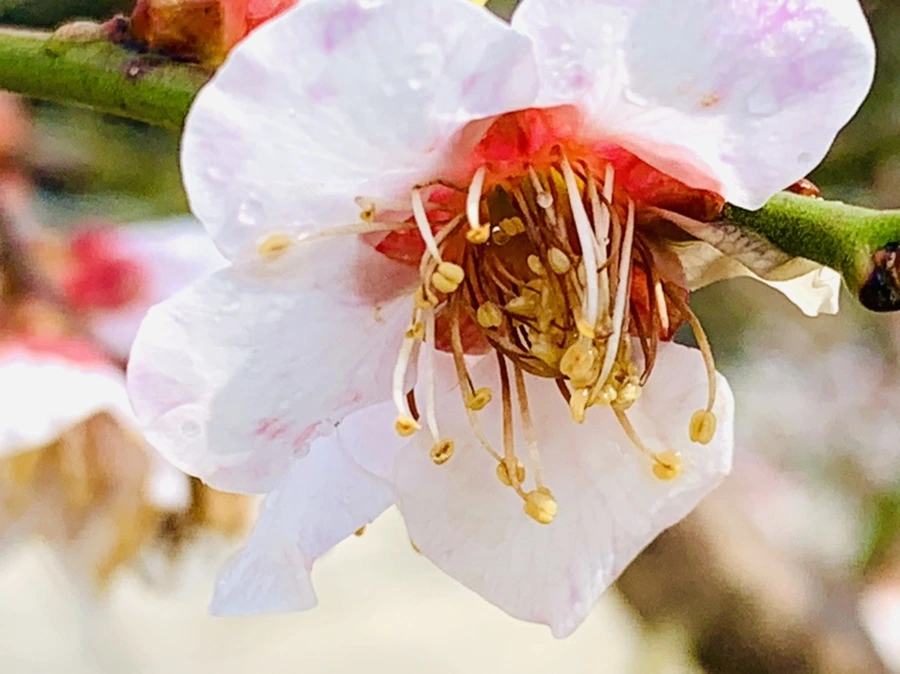 IMG_4008.jpg?type=w966