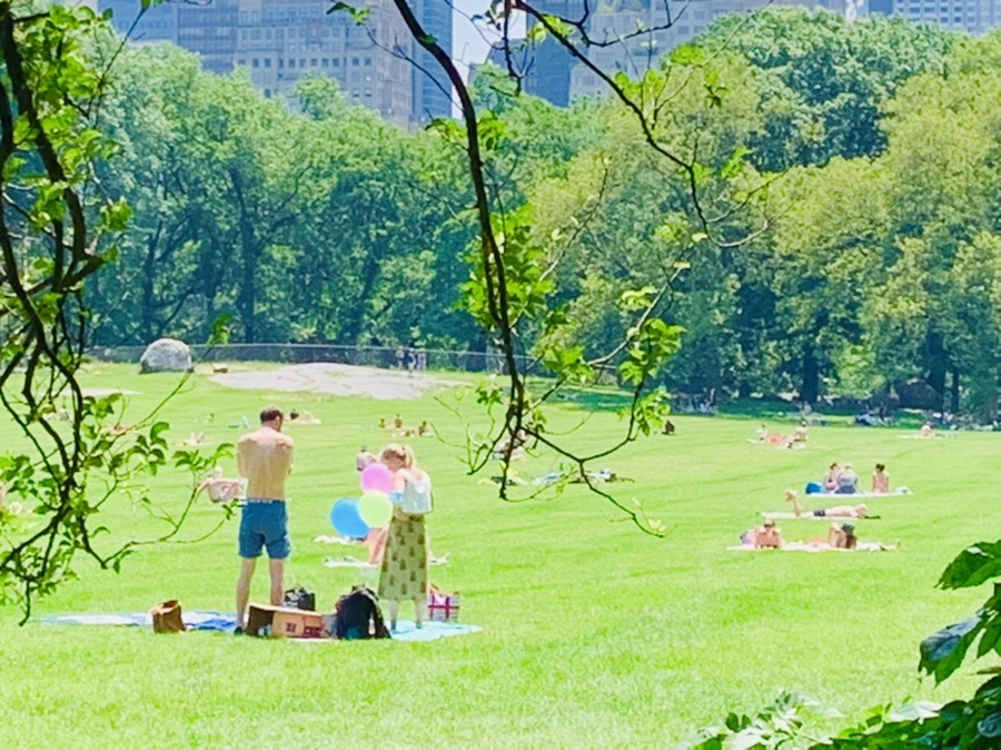 IMG_5400.jpg?type=w966