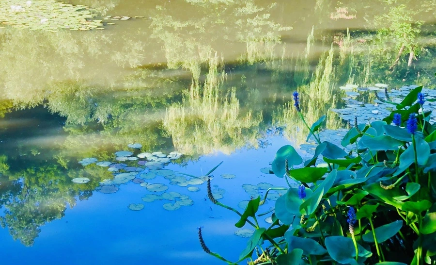 IMG_3889.jpg?type=w966