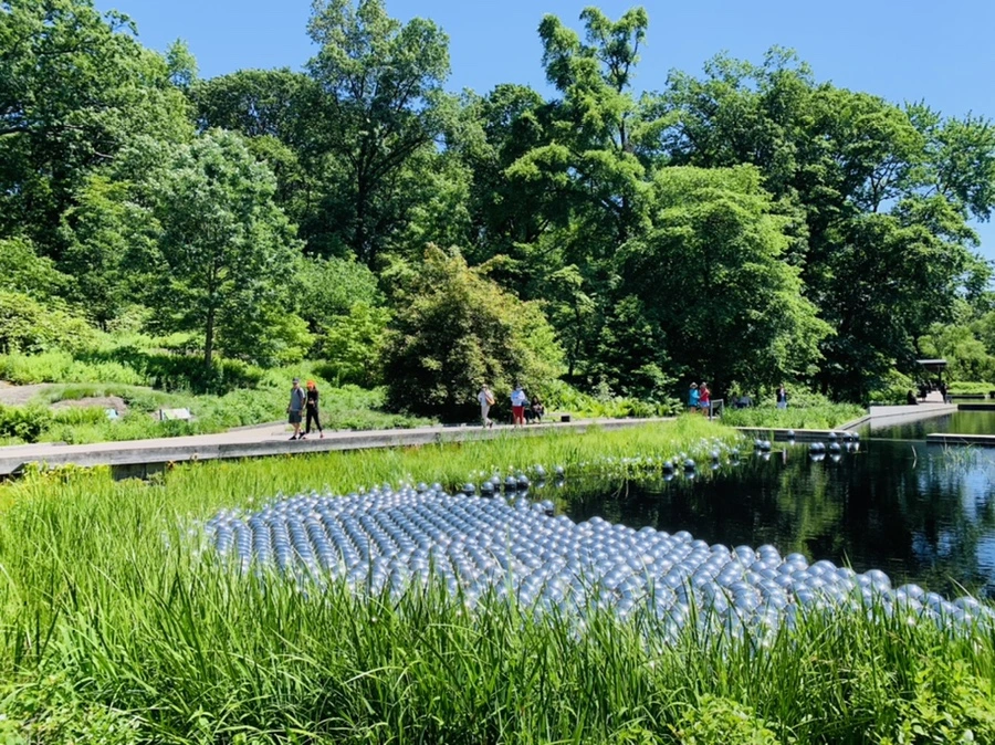 IMG_4683.jpg?type=w966