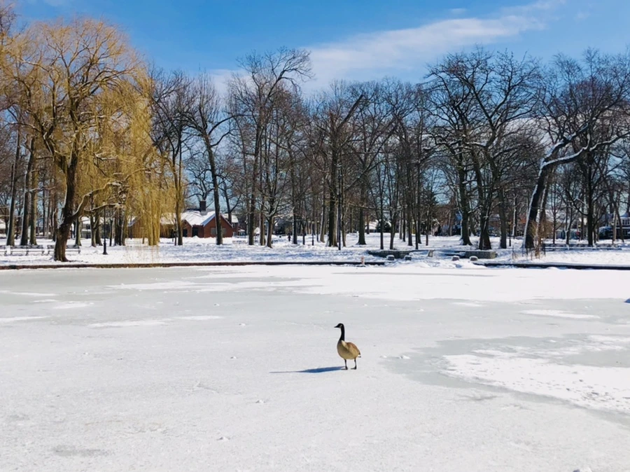 IMG_1341.jpg?type=w966