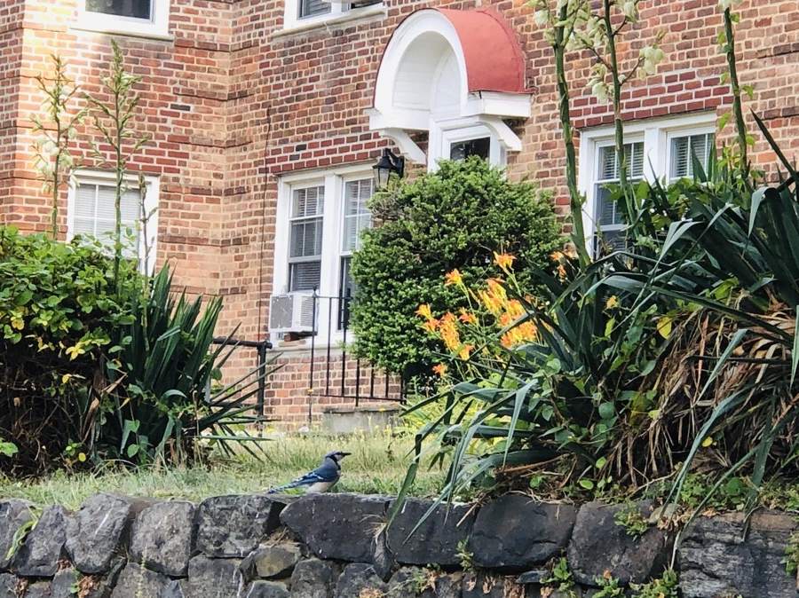 IMG_0481.jpg?type=w966