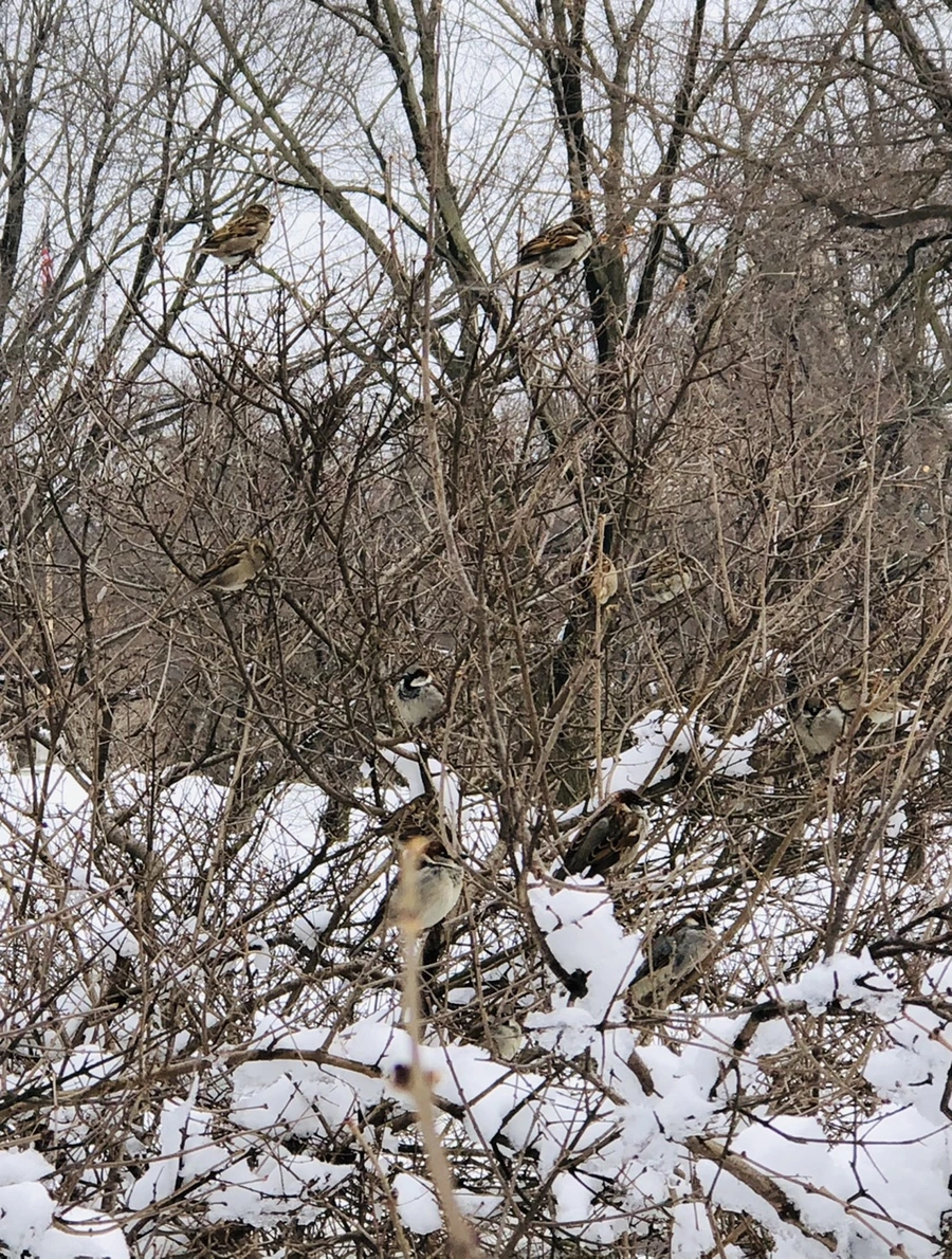 IMG_9544.jpg?type=w966