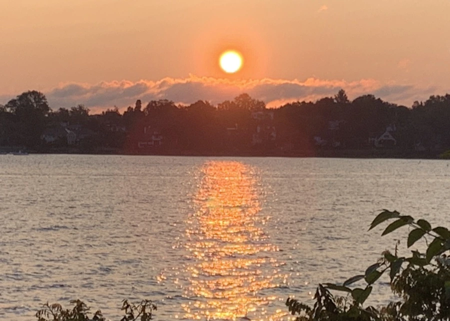 IMG_5495.jpg?type=w966