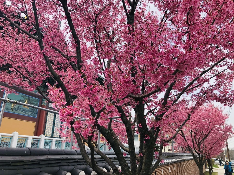 IMG_2578.jpg?type=w966