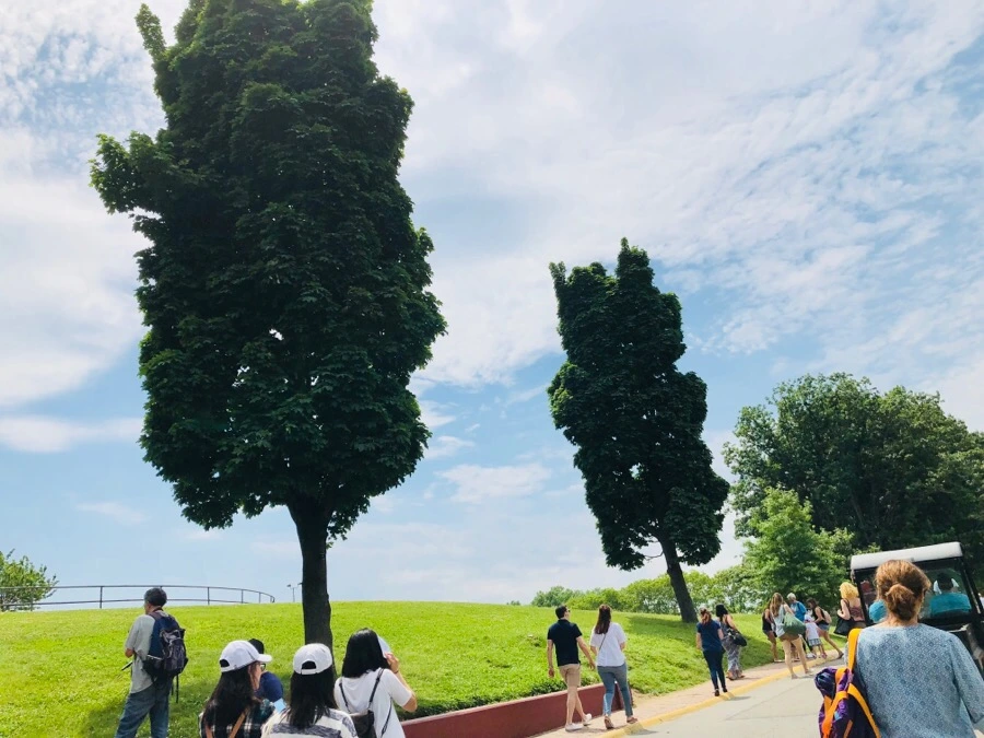 IMG_7409.jpg?type=w966