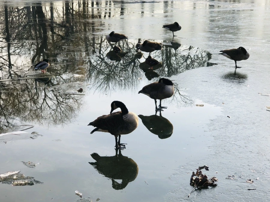 IMG_2532.jpg?type=w966