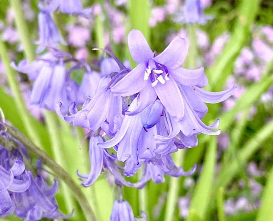 IMG_9601.jpg?type=w966