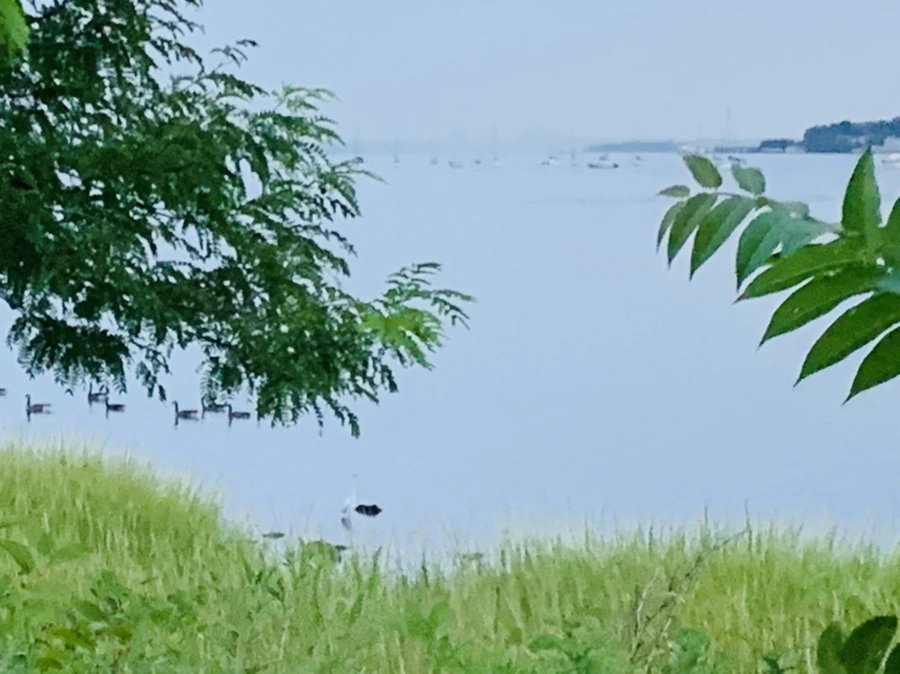 IMG_0508.jpg?type=w966