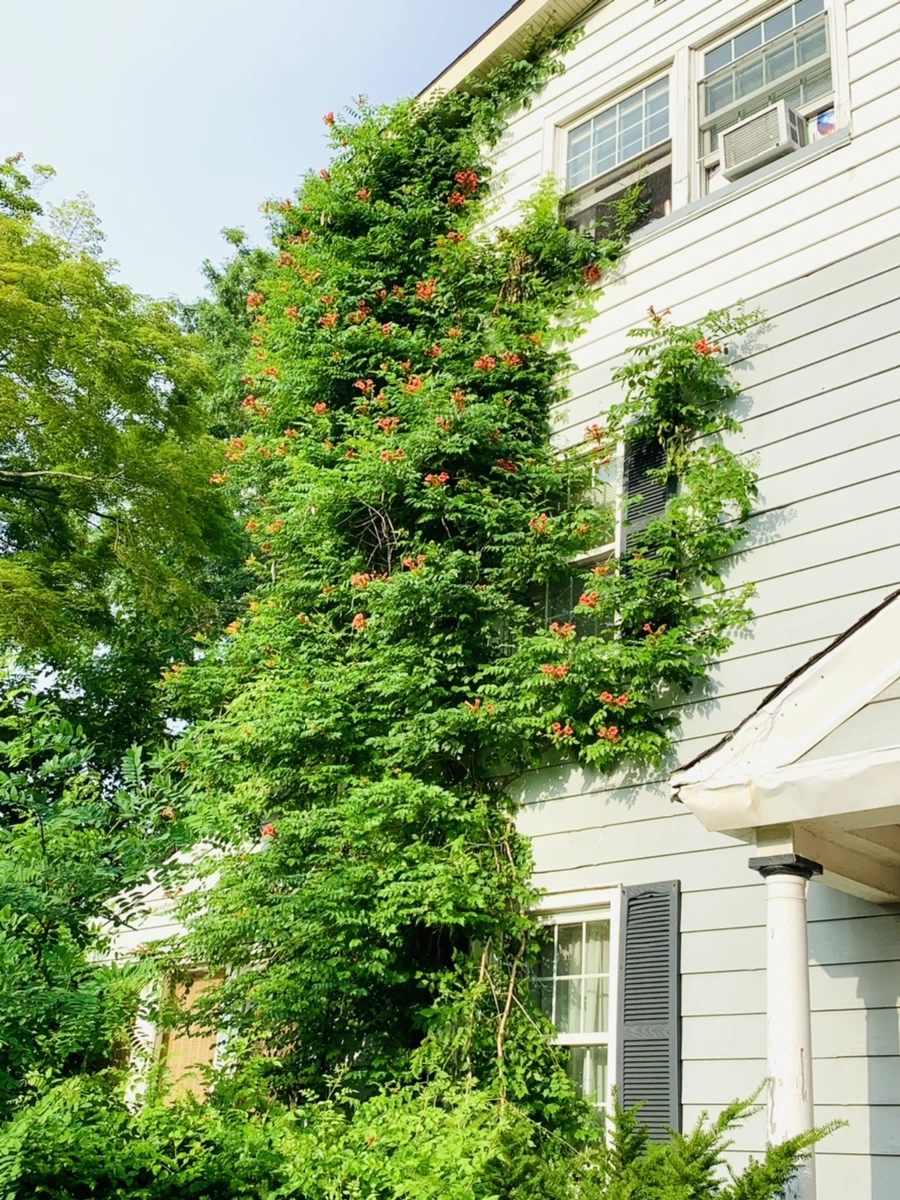 IMG_5709.jpg?type=w966