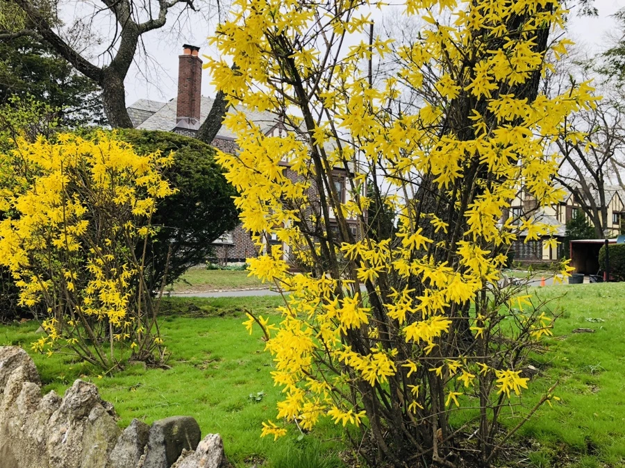 IMG_2616.jpg?type=w966