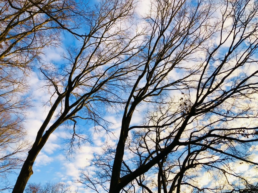 IMG_4859.jpg?type=w966