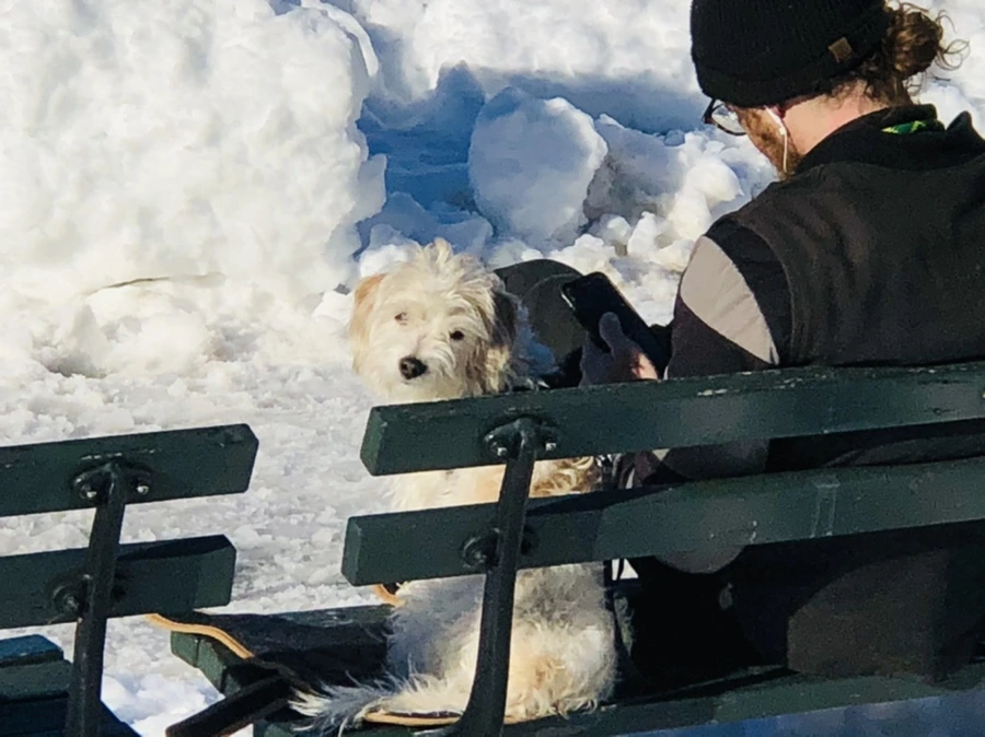 IMG_9880.jpg?type=w966